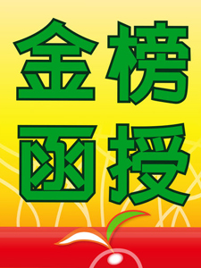 113年 金榜函授 多元式作文 04堂課 林嵩老師 含PDF講義 函授DVD(2DVD)(司律適用)